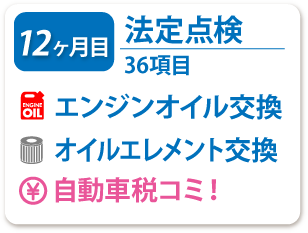 12ヶ月目 法定点検