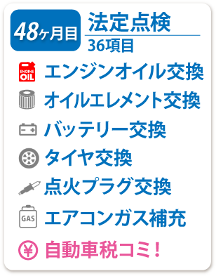 48ヶ月目 法定点検